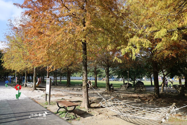 頭城景點頭城最新特色公園『頭城運動公園』宜蘭最美的共融公園、落羽松