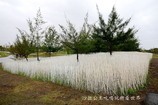 宜蘭壯圍景點『慢行沙丘-2019壯圍沙丘地景藝術節』壯圍沙丘旅遊服務園區