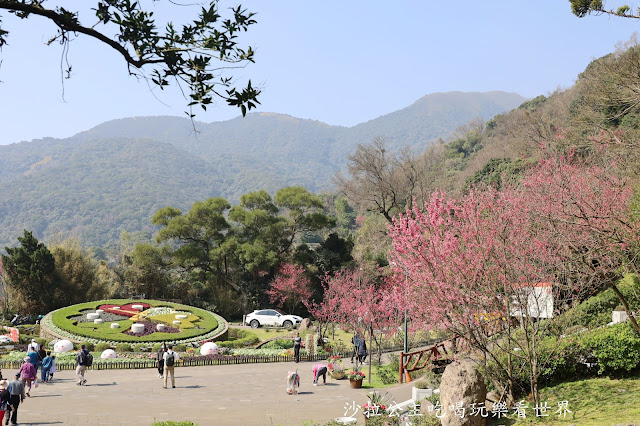 台北景點『陽明公園』陽明山花季/北投景點/櫻花季