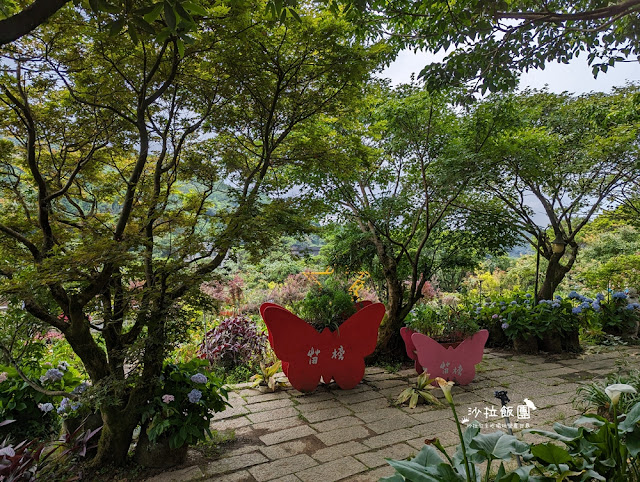 竹子湖土雞『苗榜海芋花園餐廳』繡球花、海芋、土雞