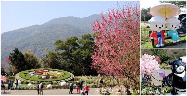 台北景點『陽明公園』陽明山花季/北投景點/櫻花季