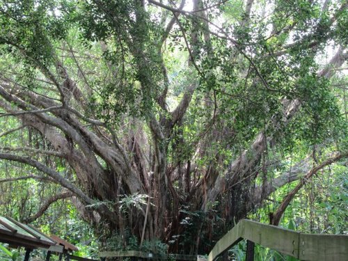 芝山文化生態綠園【士林】