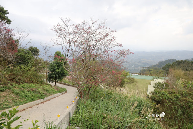 苗栗景點琉璃秋境、大湖薑麻園，帳篷野餐咖啡、窯烤披薩