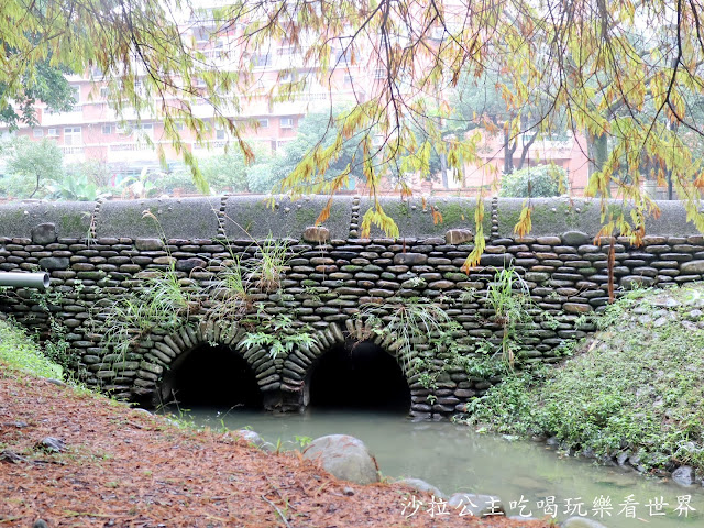 宜蘭羅東落羽松『羅東運動公園』冬季限定/宜蘭羅東景點