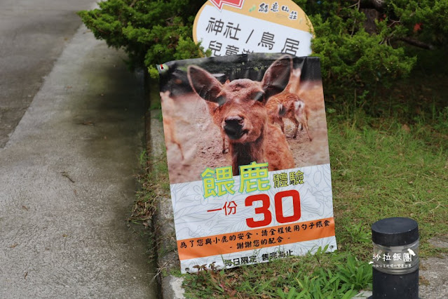 苗栗苑裡景點『綠意山莊』150元拍到翻、哈比村、粉紅城堡、露營、小木屋