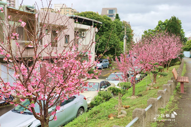 在市區就能賞櫻搭捷運就會到，假日就帶小孩來這放風