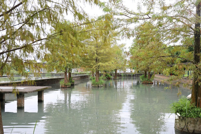 宜蘭景點『勝洋水草休閒農場』釣魚、划竹筏、溫泉魚、玩水、落羽松、IG彩虹傘、DIY