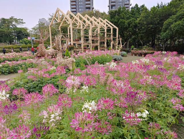 大安森林公園杜鵑花季、繡球花、鋼彈機器人