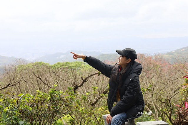 陽明山咖啡『天氣好的話陽明山』景觀餐廳