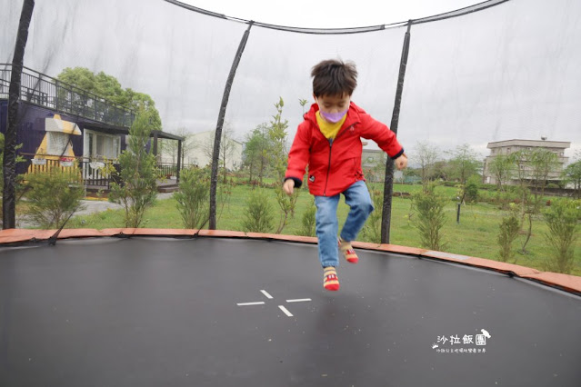 宜蘭景點『星夢森林劇場』水豚、草泥馬、梅花鹿、民宿、網美打卡景點