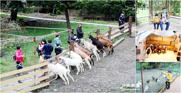 宜蘭景點『宜農牧場』門票100元、餵動物體驗、遊具、親子農場