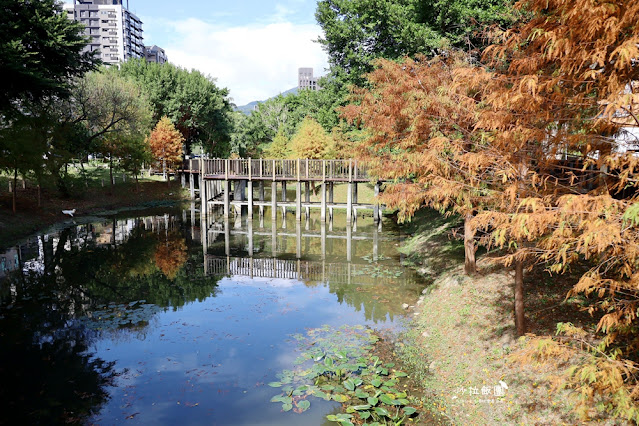 北投奇岩一號公園、落羽松、共融式兒童遊樂場、生態池