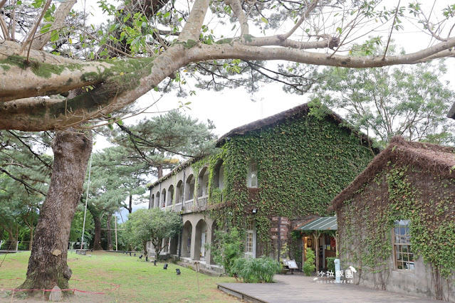 花蓮景點『松園別館』、免費景點『臥松園區』百年松林