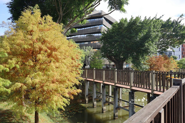 北投奇岩一號公園、落羽松、共融式兒童遊樂場、生態池