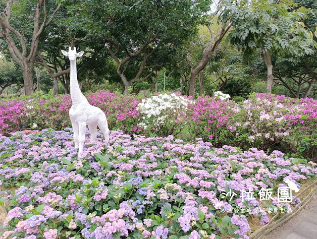 大安森林公園杜鵑花季、繡球花、鋼彈機器人