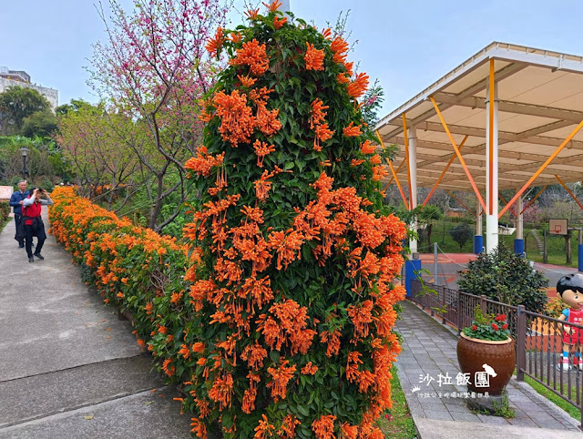 鶯歌景點『鶯歌永吉公園』炮仗花、3D步道、迴旋溜滑梯特色公園