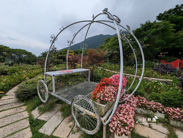 竹子湖土雞『苗榜海芋花園餐廳』繡球花、海芋、土雞