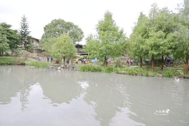 宜蘭景點『宜農牧場』門票100元、餵動物體驗、遊具、親子農場