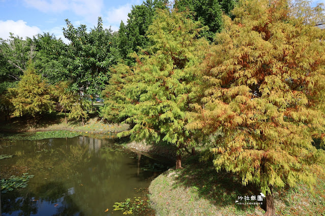 北投奇岩一號公園、落羽松、共融式兒童遊樂場、生態池