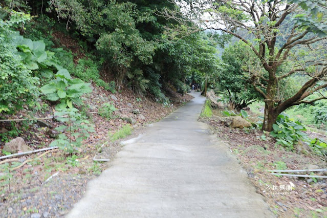 頭城美食車子不會到浮誇系美食『流水森林』上面在吃東西下面在被魚吃吃