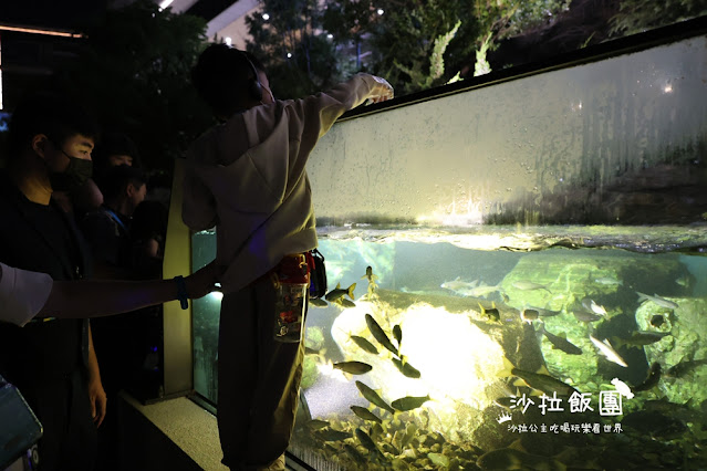 全台最頂級夜宿水族館！桃園和逸Blu Night宿海奇遇》Xpark住一晚