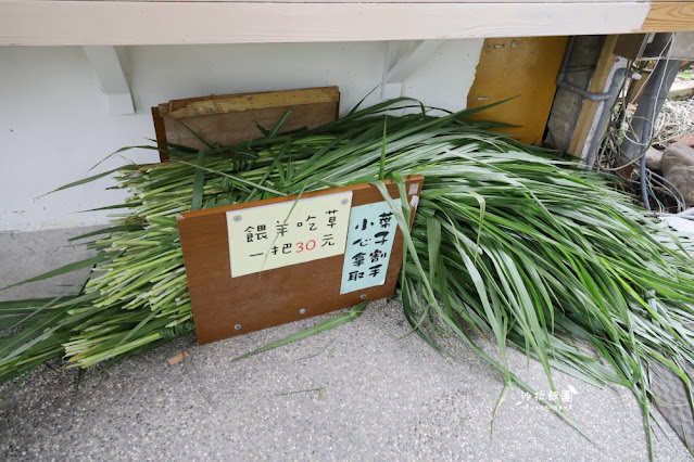 宜蘭景點『宜農牧場』門票100元、餵動物體驗、遊具、親子農場