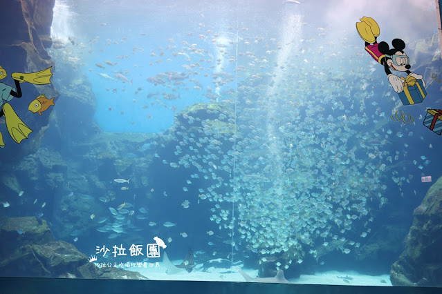 全台最頂級夜宿水族館！桃園和逸Blu Night宿海奇遇》Xpark住一晚