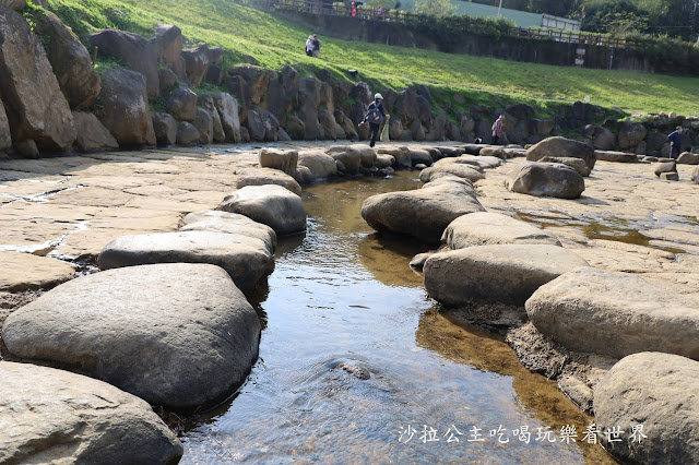 內湖景點『大溝溪親水公園』免費玩水/萬株花海捷運大湖公園站