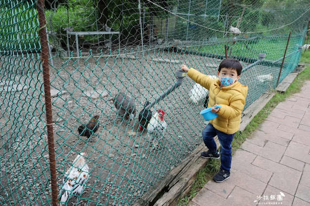 宜蘭景點『宜農牧場』門票100元、餵動物體驗、遊具、親子農場