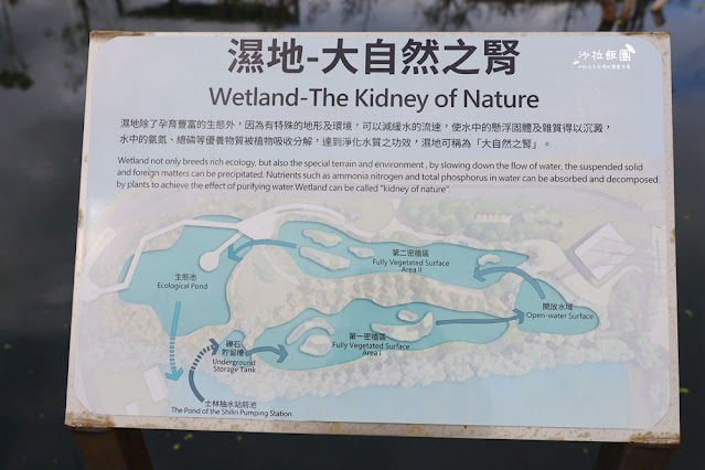 士林最新景點‼️雙溪濕地公園，制高點展望平台