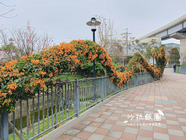 鶯歌景點『鶯歌永吉公園』炮仗花、3D步道、迴旋溜滑梯特色公園