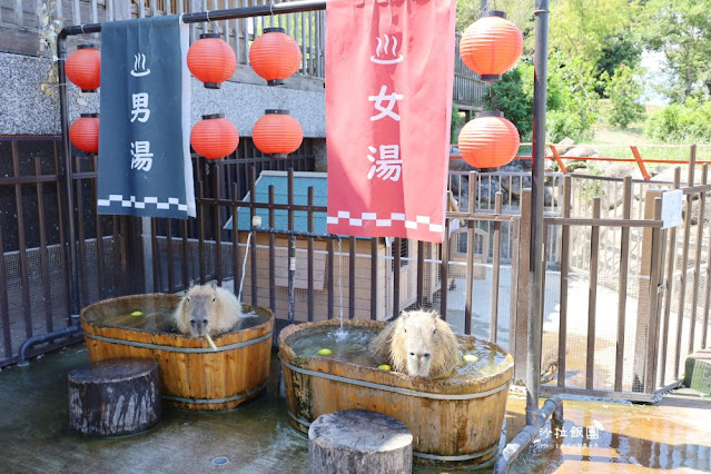 宜蘭住宿親子景點『綠舞國際觀光飯店』一泊二食住房