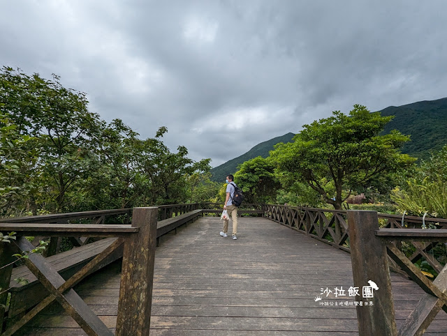 竹子湖土雞『苗榜海芋花園餐廳』繡球花、海芋、土雞