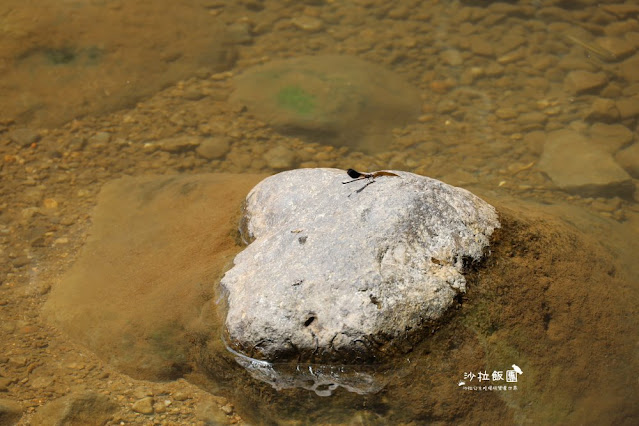 天氣好熱就是要玩水『福田園休閒農場咖啡』台北玩水秘境，近郊就可以玩水