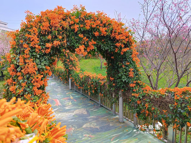 鶯歌景點『鶯歌永吉公園』炮仗花、3D步道、迴旋溜滑梯特色公園