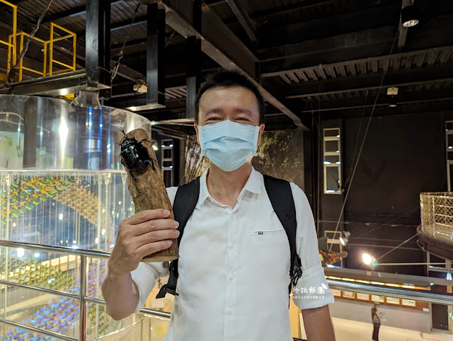 嘉義親子景點『新嘉大昆蟲館』全球唯一旋轉彩蝶柱、蝴蝶溫室花園