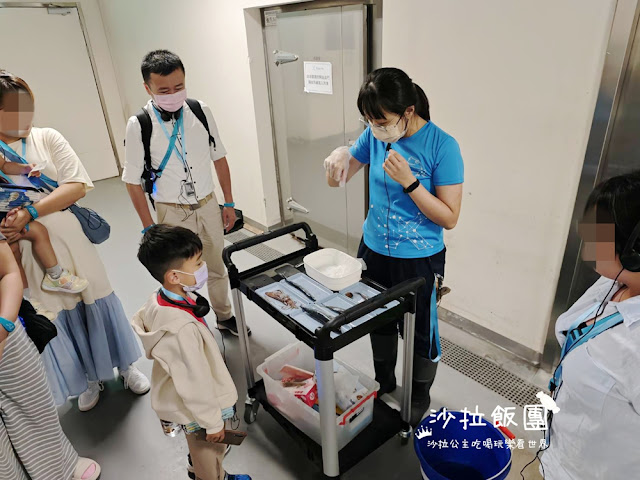 全台最頂級夜宿水族館！桃園和逸Blu Night宿海奇遇》Xpark住一晚