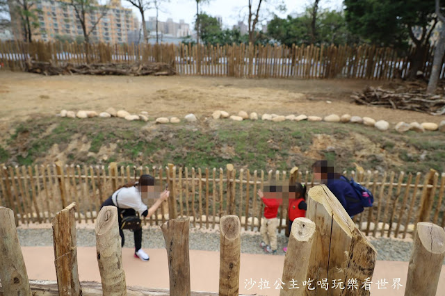 全台最老動物園『新竹動物園』全新打造沒有籠子友善動物園/新竹景點