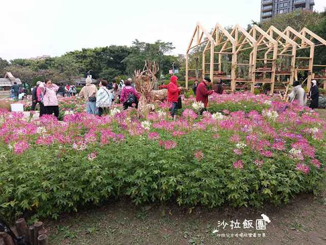 大安森林公園杜鵑花季、繡球花、鋼彈機器人