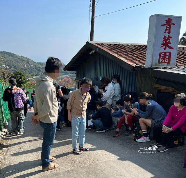 竹子湖土雞推薦平日下雨都要排隊『青菜園』