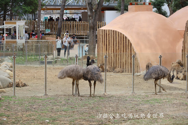 全台最老動物園『新竹動物園』全新打造沒有籠子友善動物園/新竹景點