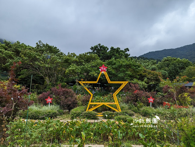 竹子湖土雞『苗榜海芋花園餐廳』繡球花、海芋、土雞