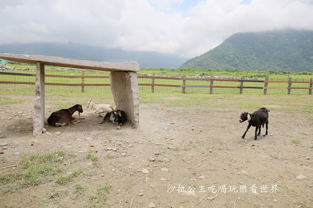 花蓮景點50元門票『崇德瑩農場』餵羊.景觀咖啡.露營車.風味餐廳