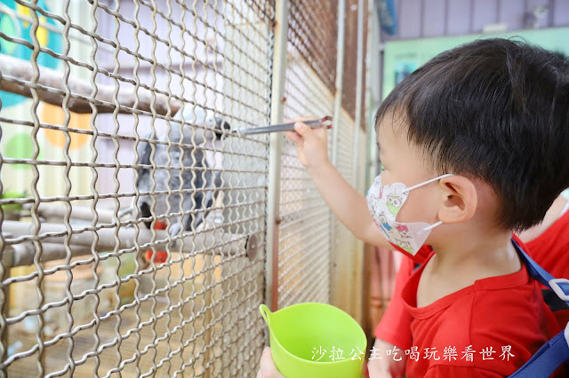 宜蘭礁溪景點『水鹿咖啡親子餐廳』迷你馬.水鹿.沙坑.小火車.賽車場.菜單