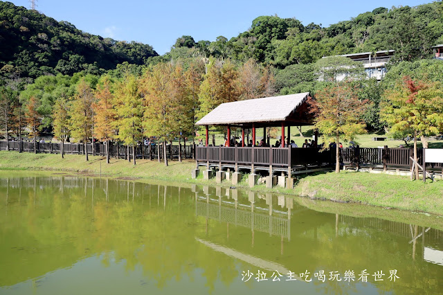 士林景點『原住民文化主題公園』IG打卡熱點/網美必拍/士林落羽松