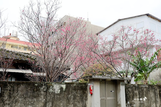 在市區就能賞櫻搭捷運就會到，假日就帶小孩來這放風