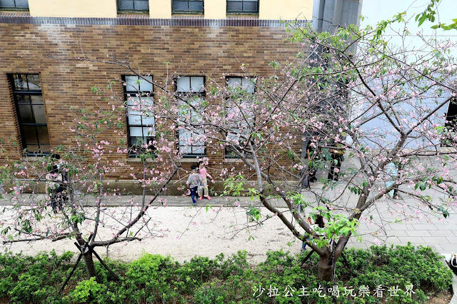 全台最老動物園『新竹動物園』全新打造沒有籠子友善動物園/新竹景點