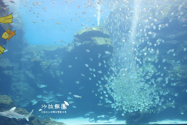 全台最頂級夜宿水族館！桃園和逸Blu Night宿海奇遇》Xpark住一晚