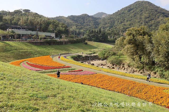 內湖景點『大溝溪親水公園』免費玩水/萬株花海捷運大湖公園站