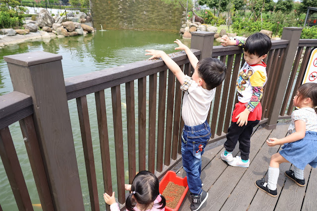 2500坪超狂親子民宿『親水89饗樂民宿』餵浣熊.溜羊.餵魚.餵兔子/大型磨石子溜滑梯/特斯拉充電站/有電梯